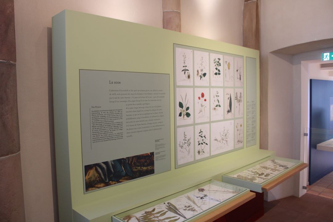 image muséographique