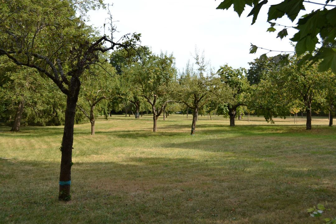 Image parc enneigé
