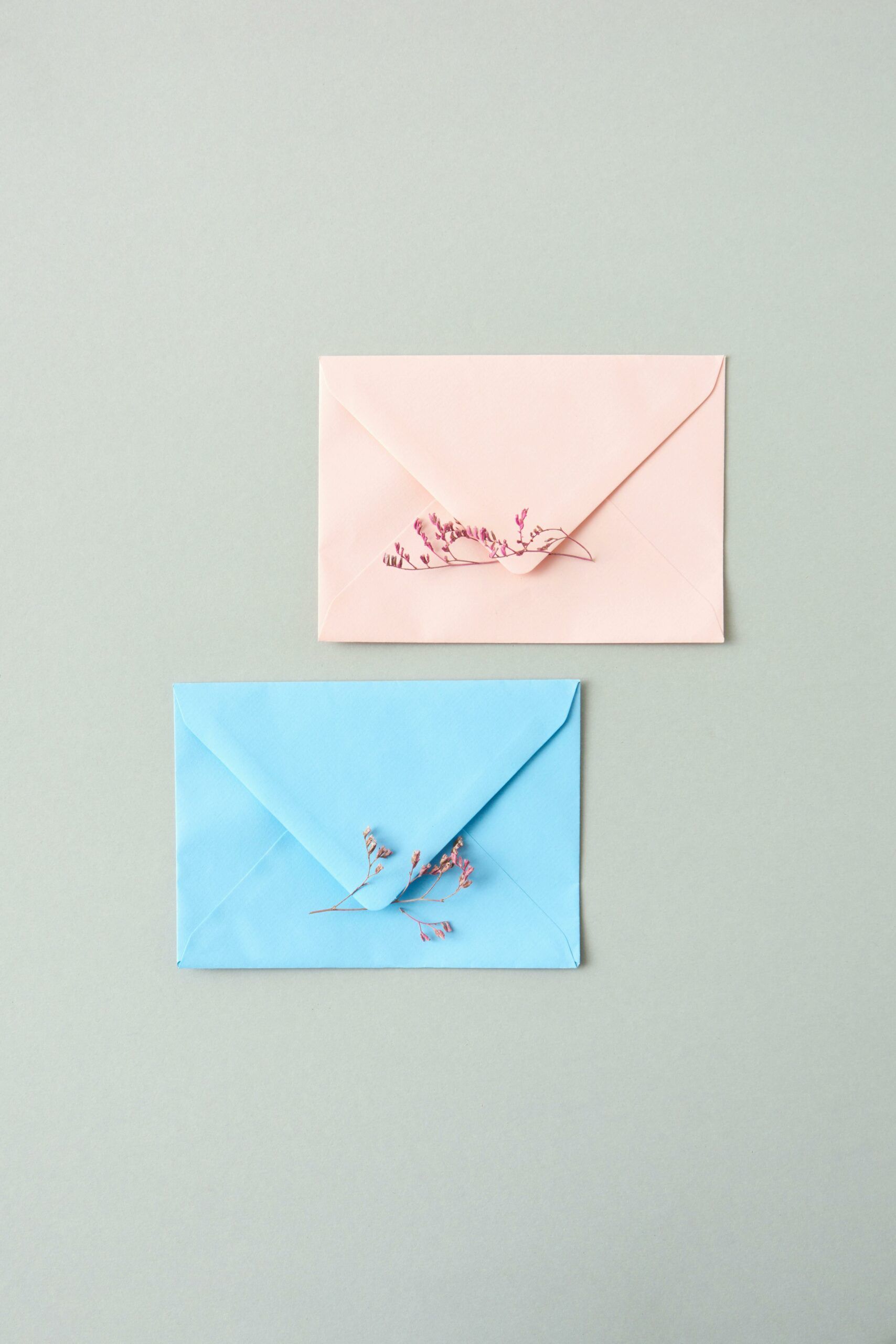 image fleurs blanche de la maison saint michel