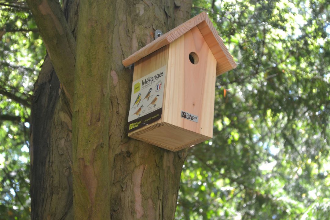 Image abri oiseau